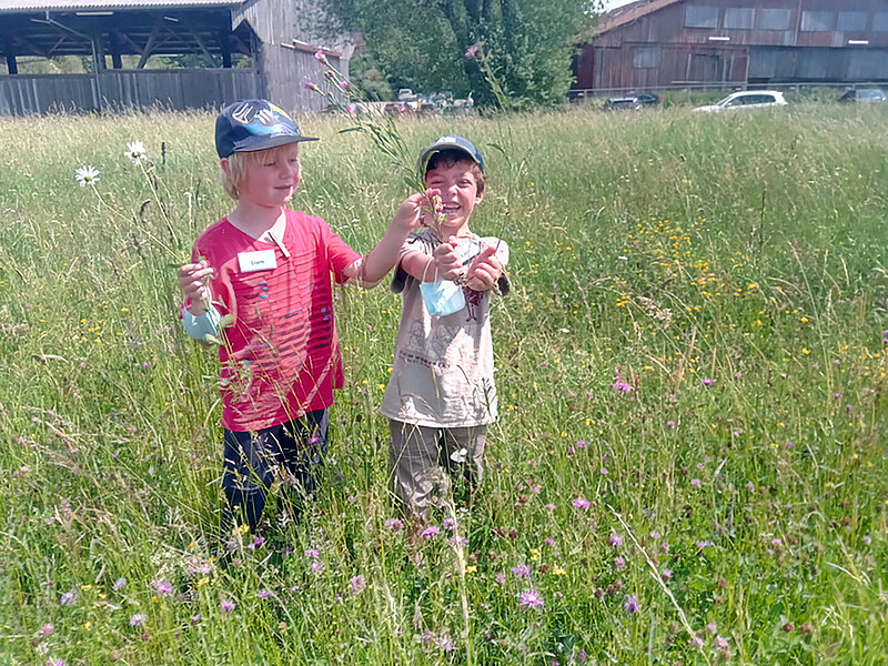 Zwei Jungen zeigen stolz ihre gesammelten Wiesenpflanzen in die Kamera.