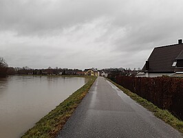 Hochwasserdamm bei Plittersdorf. Links steht das Hochwasser fast bis zur Dammkrone an. Rechts sieht man die Bebauung, die hier sehr nah am Damm ist. 