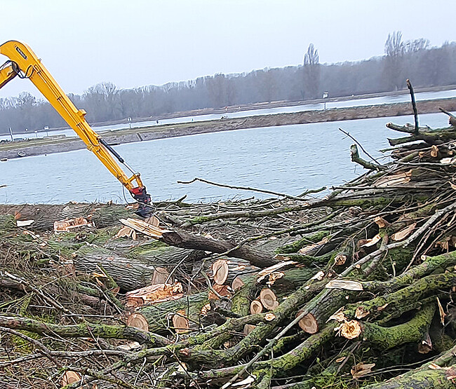 Raupenbagger mit Holzgreifer, der Äste aus dem Baumschnitt sammelt, um das Gelände zu roden und sauberer zu machen.