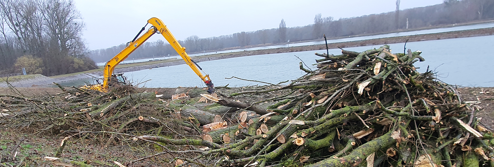 Raupenbagger mit Holzgreifer, der Äste aus dem Baumschnitt sammelt, um das Gelände zu roden und sauberer zu machen.