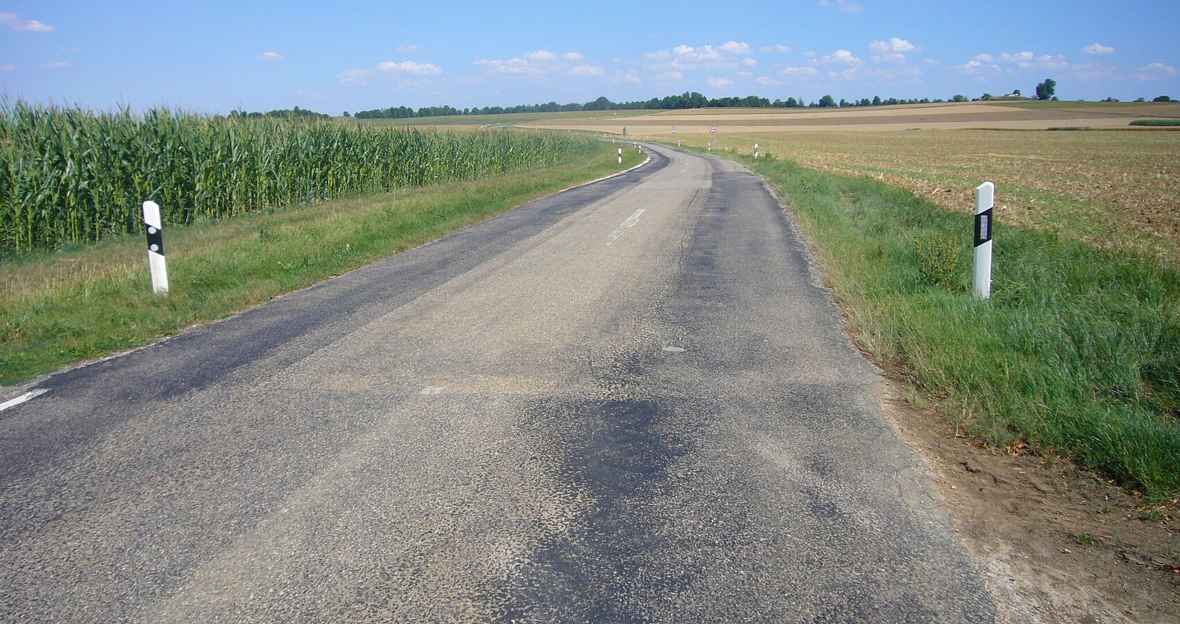 Blick auf die L 240 mit Leitpfosten; links von der Straße ein Maisfeld und rechts davon ein geerntetes Feld; leicht bewölkter blauer Himmel