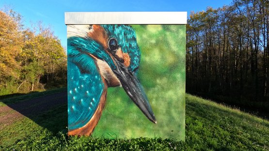 Graffiti Eisvogel, gemalt von Kevin Meyle, Schutterwald