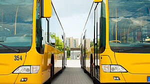 zwei gelbe Busse parken nebeneinander auf dem Busbahnhof, man blickt von vorne auf die Busse