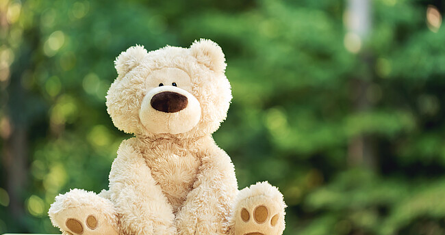 Teddybär sitzt vor grünem Hintergrund