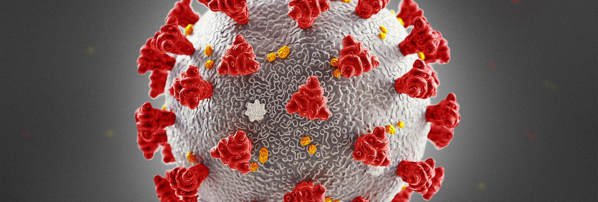 Der Coronavirus im inneren eines Körpers