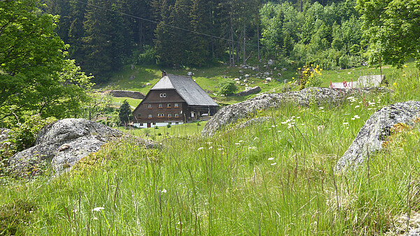 Ein Hof im Schwarzwald