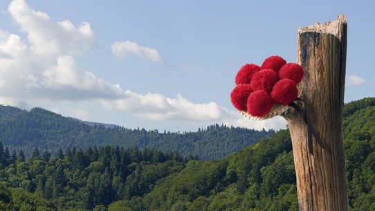 Blick auf den Schwarzwald mit Bommelhut im Vordergrund