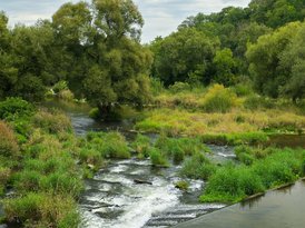 Abgebildet ist eine Wehranlage an der Donau, welche aufgrund eines naturnahen Fischaufstiegs für einige Lebewesen passierbar ist.