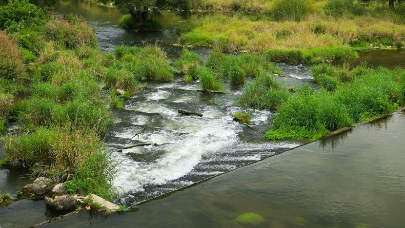 Abgebildet ist eine Wehranlage an der Donau, welche aufgrund eines naturnahen Fischaufstiegs für einige Lebewesen passierbar ist.
