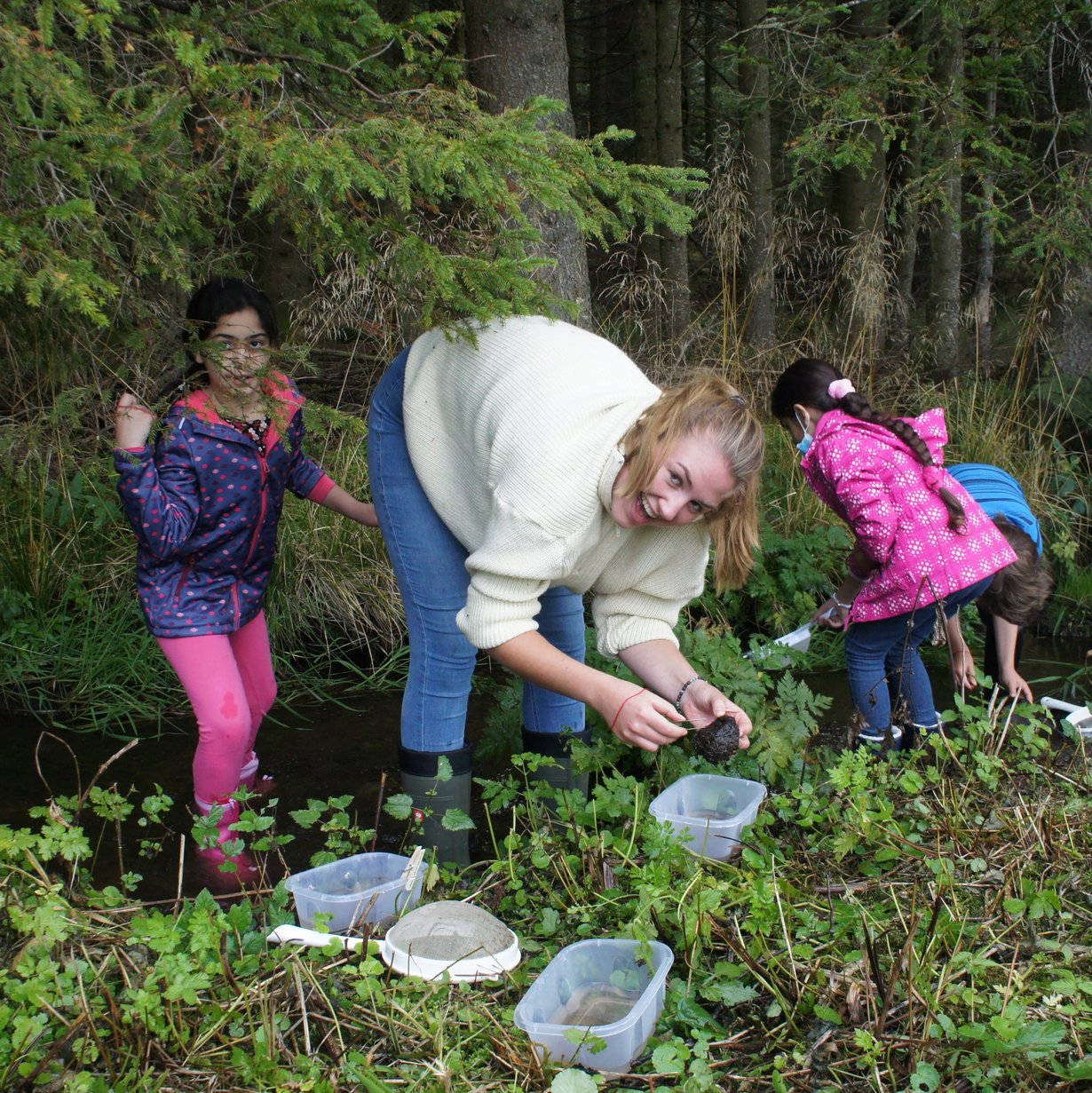 FÖJ-Einsatz mit Kindern an einem Bach im Wald