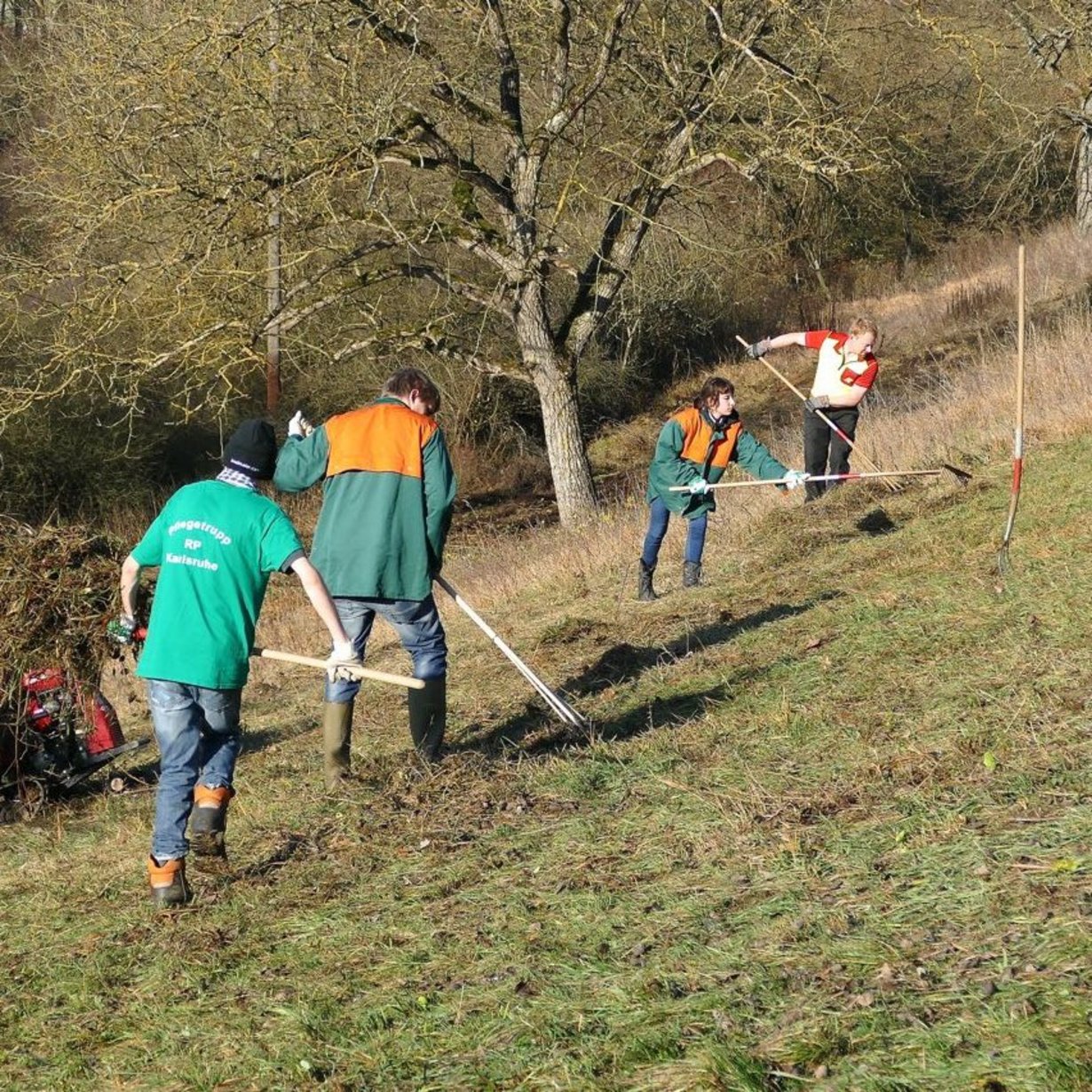 Auf den steilen Hängen ist viel Handarbeit notwendig. Mit Heurechen und Heugabeln wird von fleißigen Mitarbeiterinnen und Mitarbeitern das Schnittgut geschwadet und abgeräumt.