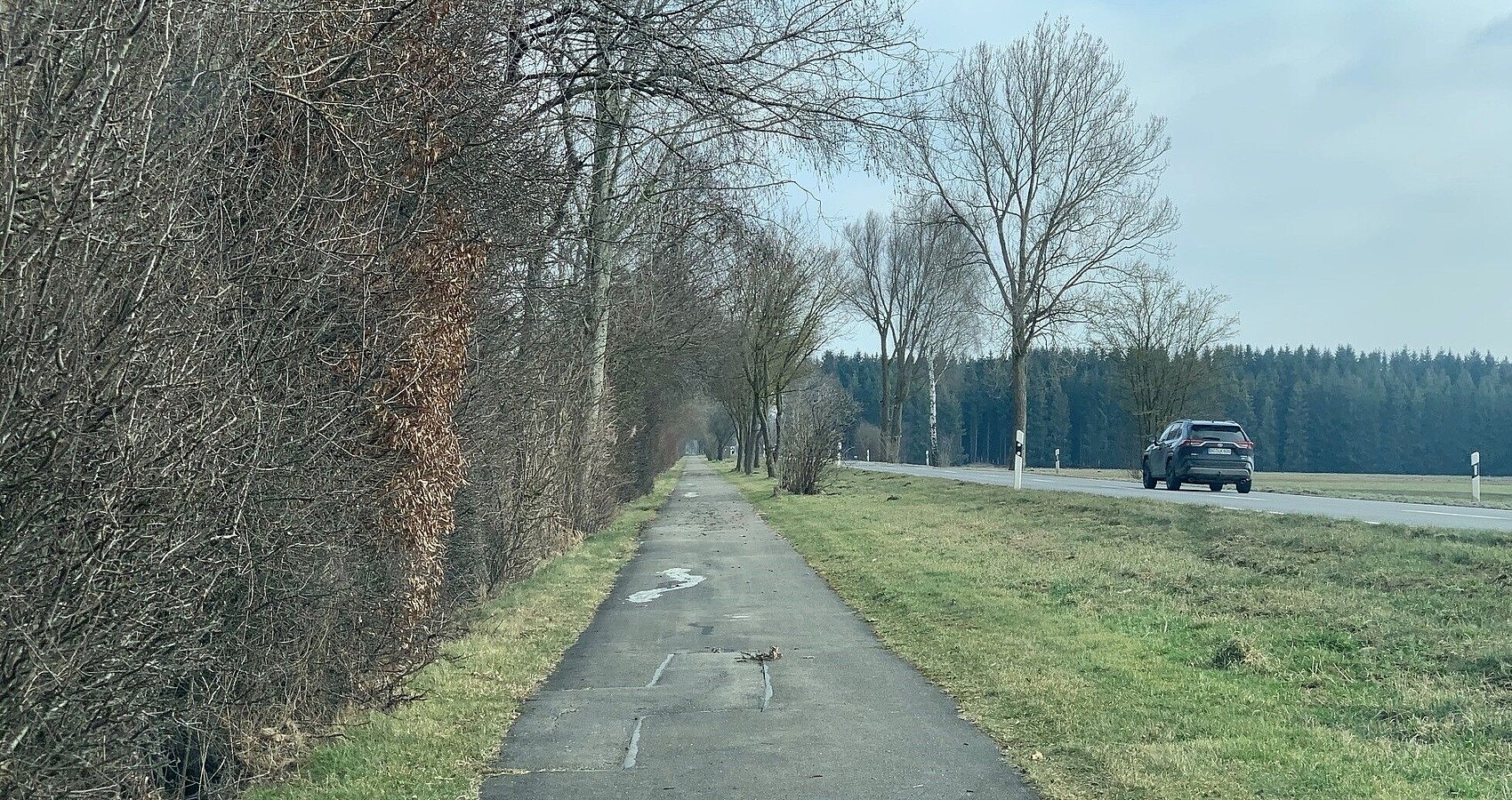 Das Bild zeigt eine schadhafte Straße an der links entlang ein schadhafter Radweg führt. Es befindet sich ein Auto auf der Fahrbahn. Links und im Hintergrund Wald