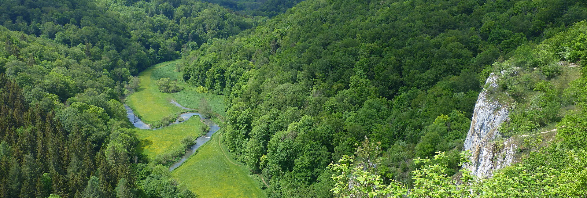 Ausblick auf Wälder, Wiesen, Fluss und Felsen im Großen Lautertal