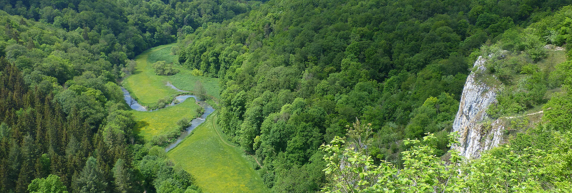Ausblick auf Wälder, Wiesen, Fluss und Felsen im Großen Lautertal