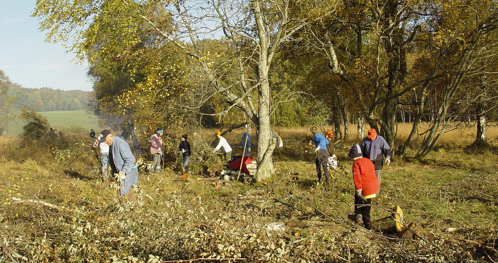 Bild zeigt Helferinnen und Helfer bei der Landschaftspflege 