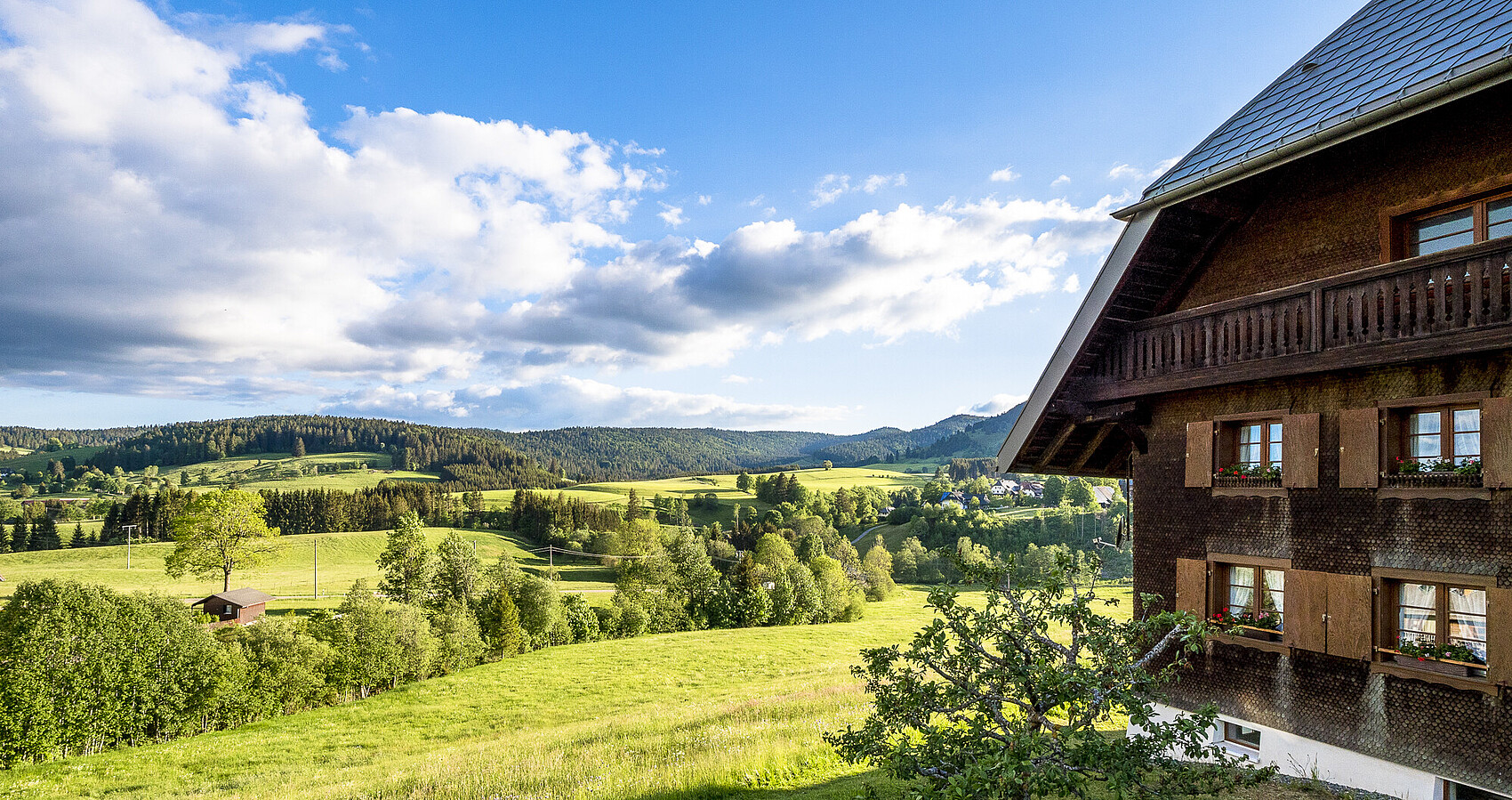 Blick auf den Schwarzwald mit Holzhaus