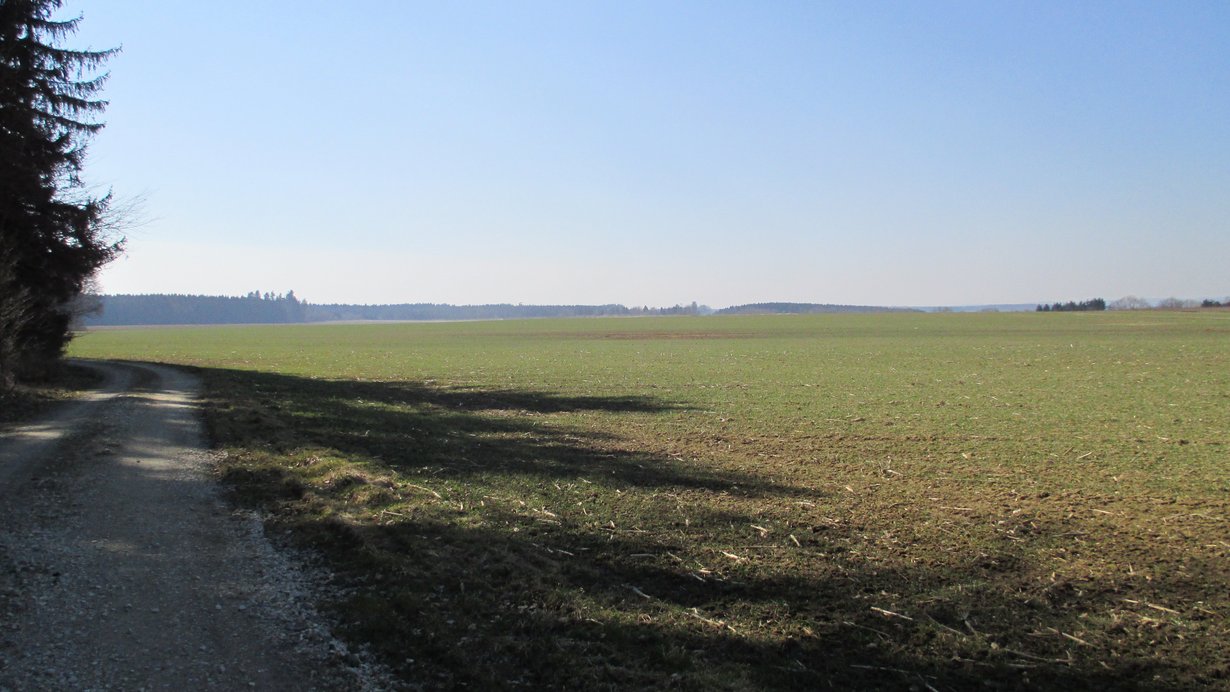 Landschaft mit geplanter Kiesabbaufläche