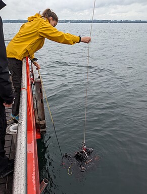 Der Unterwasserroboter des ISF der LUBW wird von Bord der MS Kormoran zu Wasser gelassen 