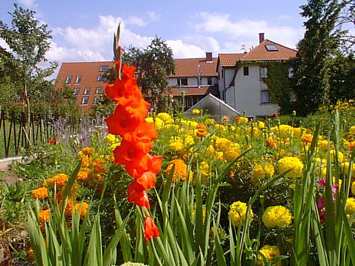 Gartenansicht mit bunten Blüten