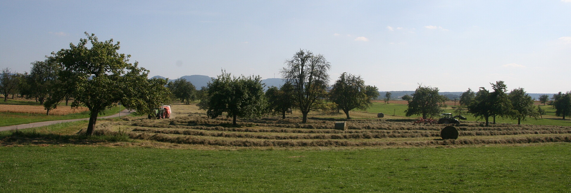 Blick auf Wiesen bei Ostdorf