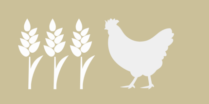 Symbolbild Anbau-Tierhaltung - Getreide und ein stilisiertes Huhn auf beigem Untergrund