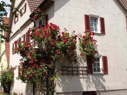Rosenhaus, 70794 Filderstadt-Silmingen, Bei der Kirche 1