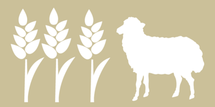 stilisierte zeichnung auf beigefarbenem Untergrund von Getreidepflanzen und einem Schaf