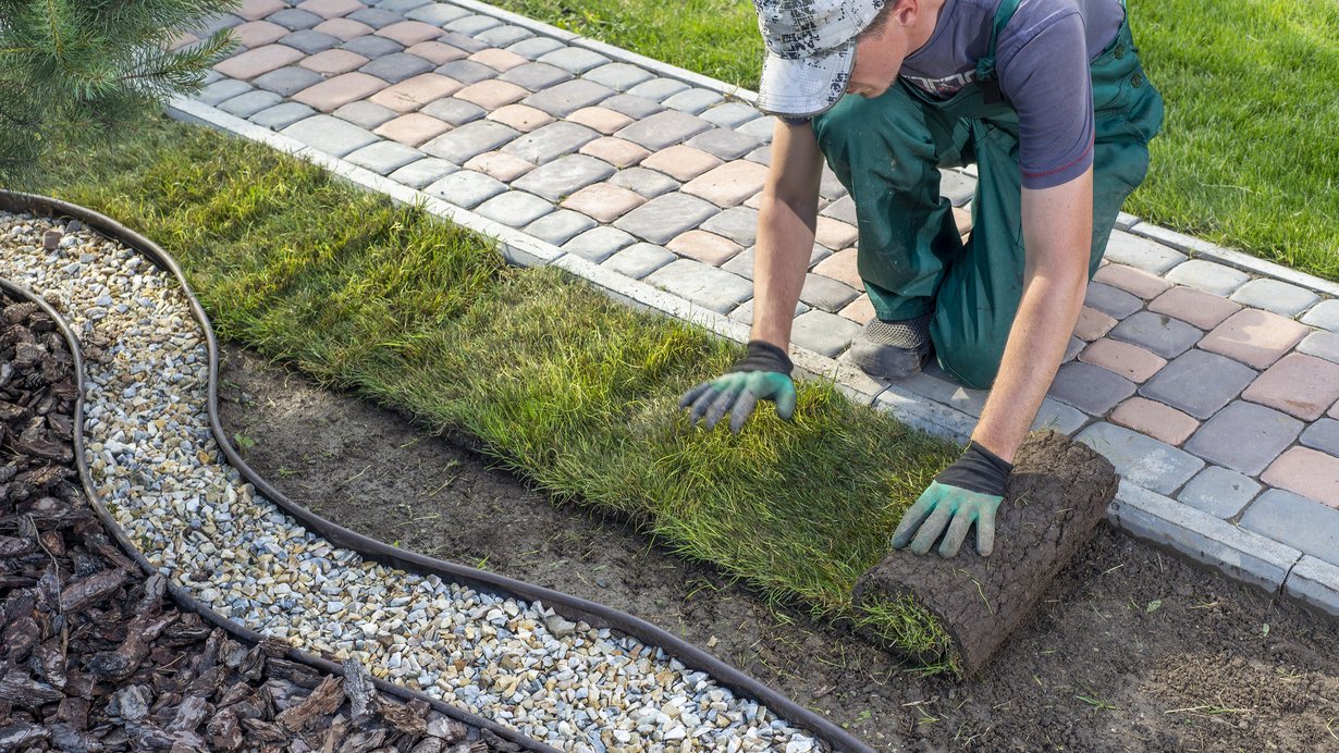 Gärtner beim Verlegen von Rollrasen