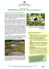 Vorschaubild: Merkblatt - Bienenfreundliche Dachbegrünung
