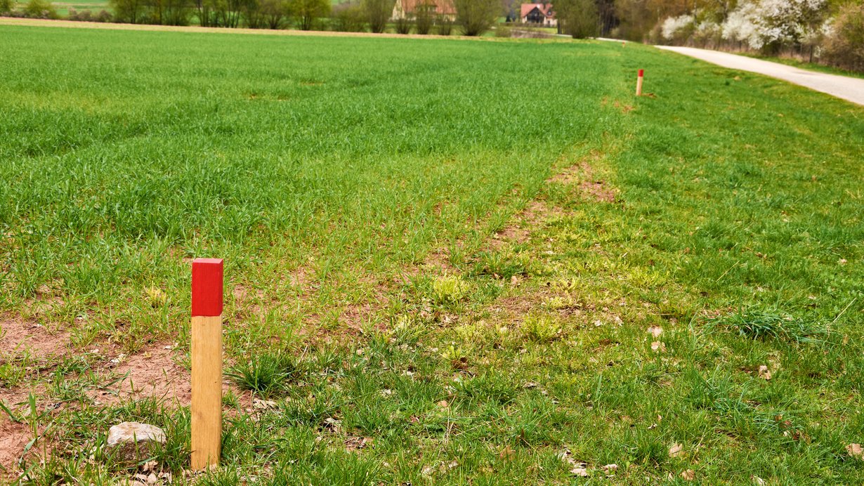 Abgestecktes Grundstück
