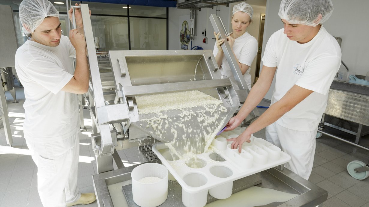 Handwerkliche Milchverarbeitung zu Käse und Joghurt