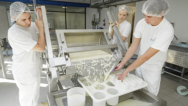 Handwerkliche Milchverarbeitung zu Käse und Joghurt