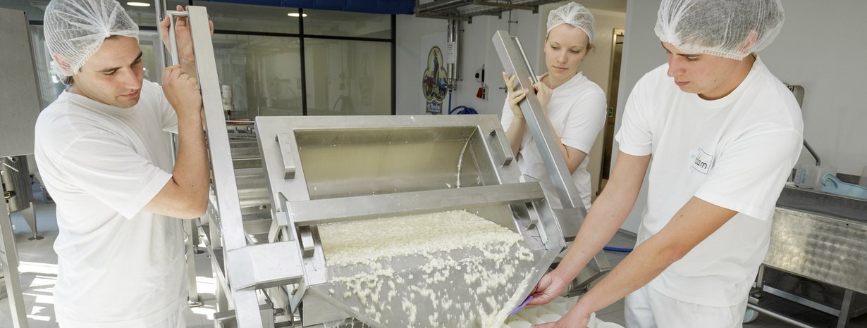 Handwerkliche Milchverarbeitung zu Käse und Joghurt