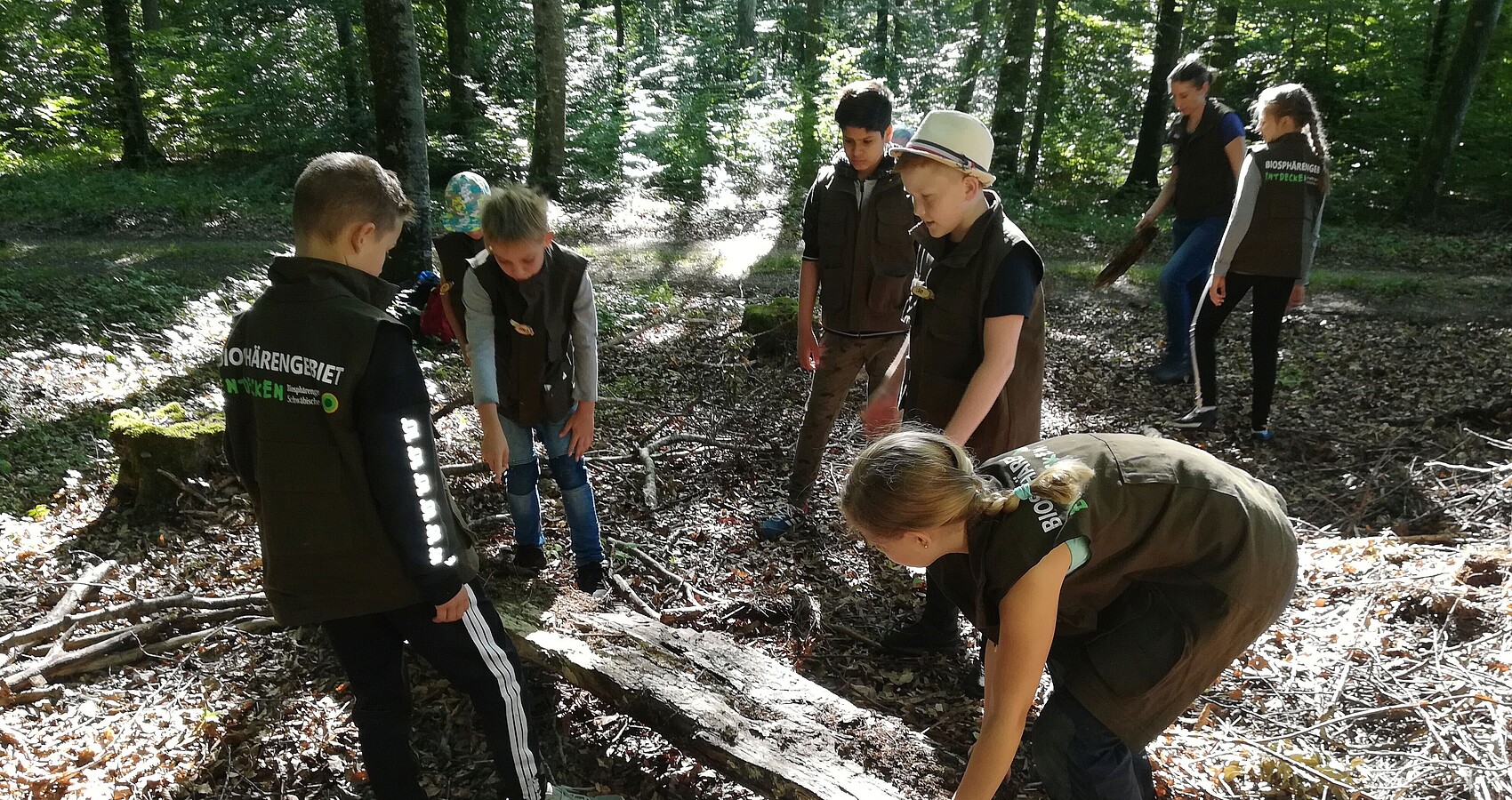 Waldtag der GS Schmiechen - das Bild zeigt mehrer Kinder im Wald, die Baumarbeiten verrichten