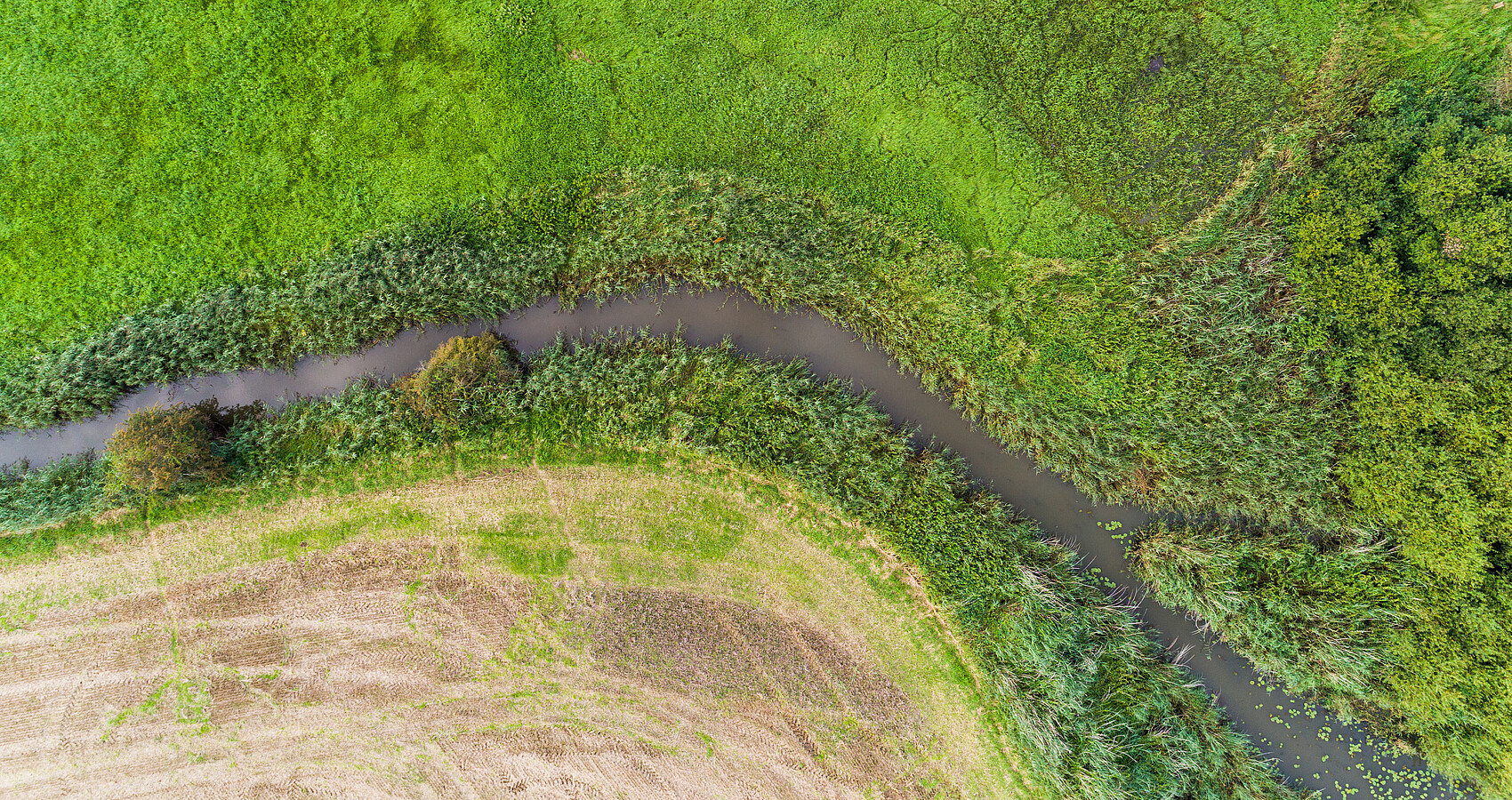 Drohnenaufnahme eines Gewässerverlaufs. Man sieht aus der Vogelperspektive einen Flußverlauf zwischen einem abgeernteten Feld und grüen Wiesen