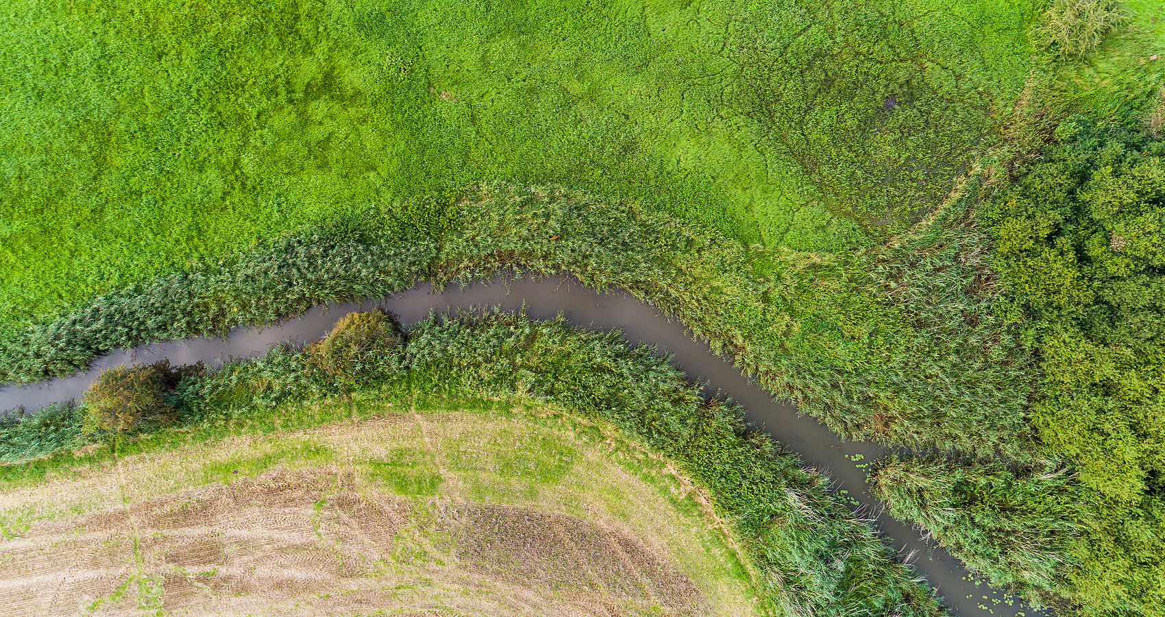 Drohnenaufnahme eines Gewässerverlaufs. Man sieht aus der Vogelperspektive einen Flußverlauf zwischen einem abgeernteten Feld und grüen Wiesen