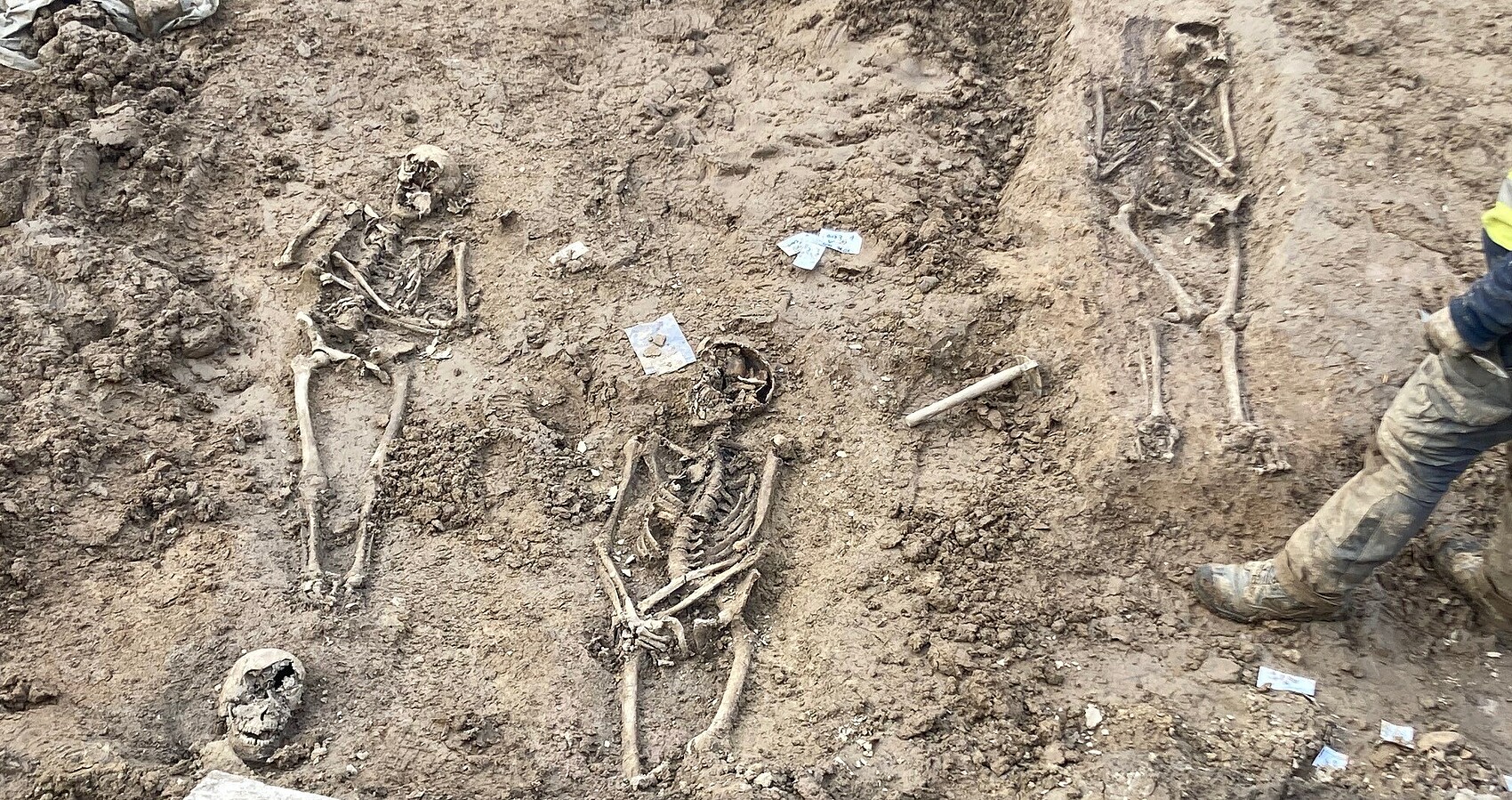 Bild zeigt 3 Skelette auf der Erde liegend, die beim Ausgraben gefunden wurden