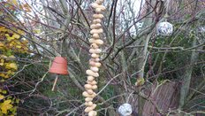 Fertiges aufgehängtes Vogelfutter: 2 Kugeln, Erdnusskette und Vogelfutter im Blumentopf