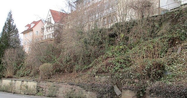 Blick auf die grün bewachsenen Stützmauern unterhalb von Rosenfeld; im Hintergrund einige Gebäude von Rosenfeld