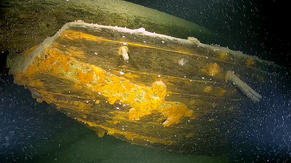 Heck eines vollständig erhaltenen hölzernen Lastsegelschiffs am Grund des Bodensees 