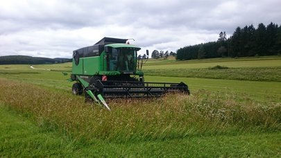 Mähdrescher auf einer Wiese
