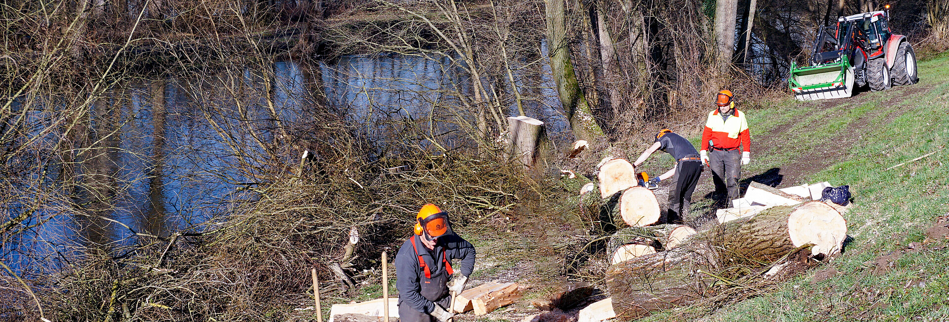 Gehölzpflege und Baumfällarbeiten durch mehrere Wasserbauarbeiter an einem Ufer mit Kettensägen und Spalthammern
