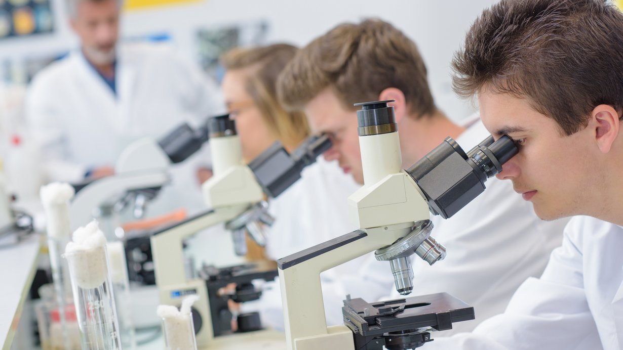 Bild zeigt Studierende, die Mikroskope verwenden