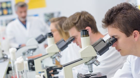 Bild zeigt Studierende, die Mikroskope verwenden