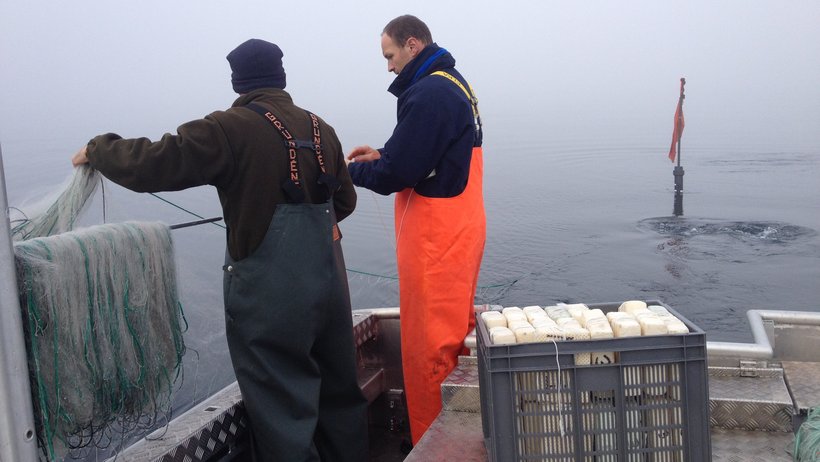 Zwei Fischer am Bodensee