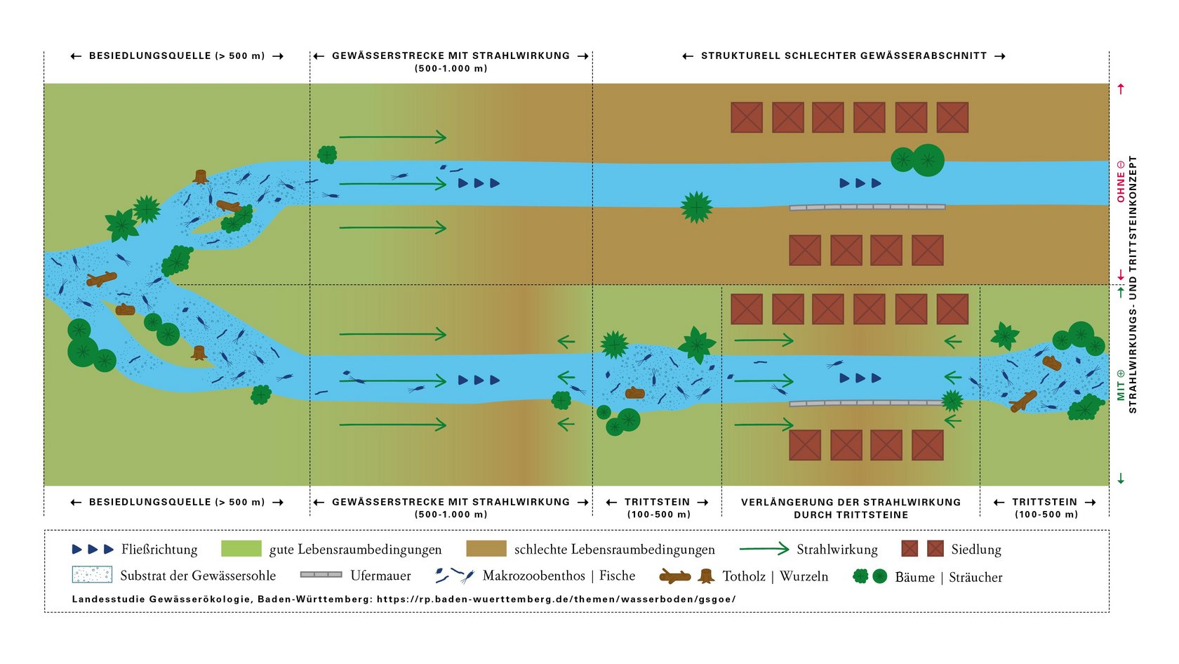 Strahlwirkungs- und Trittsteinkonzept als Planungsgrundlage der Maßnahmenkonzeption in der Landesstudie Gewässerökologie