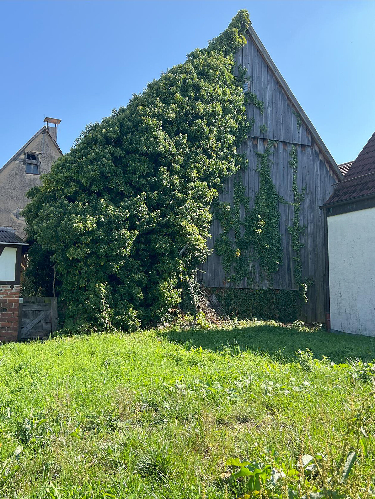 Scheuer 5/1, 70771 Leinfelden-Echterdingen, Waldhornstraße 5
