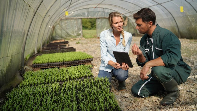 Gartenbauingenieurin berät einen Betriebsleiter in der Pflanzenaufzucht