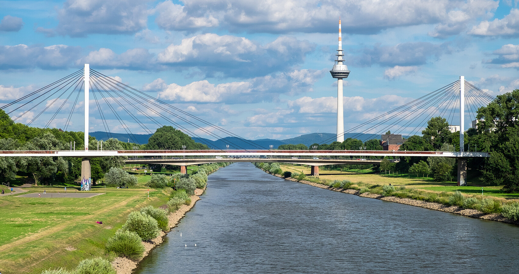 Der Blick auf den Neckar, die Brücke und den Fernsehturm mit den Hügeln im Hintergrund in Mannheim