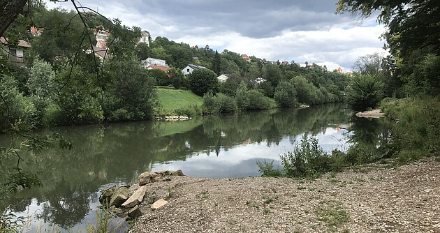 Blick auf den Fluss Neckar. Man sieht eine Kiesinsel im Vordergrund mit Blick auf den neckar, im Hintergrund sieht man das andere Ufer mit Wohnbebauung.